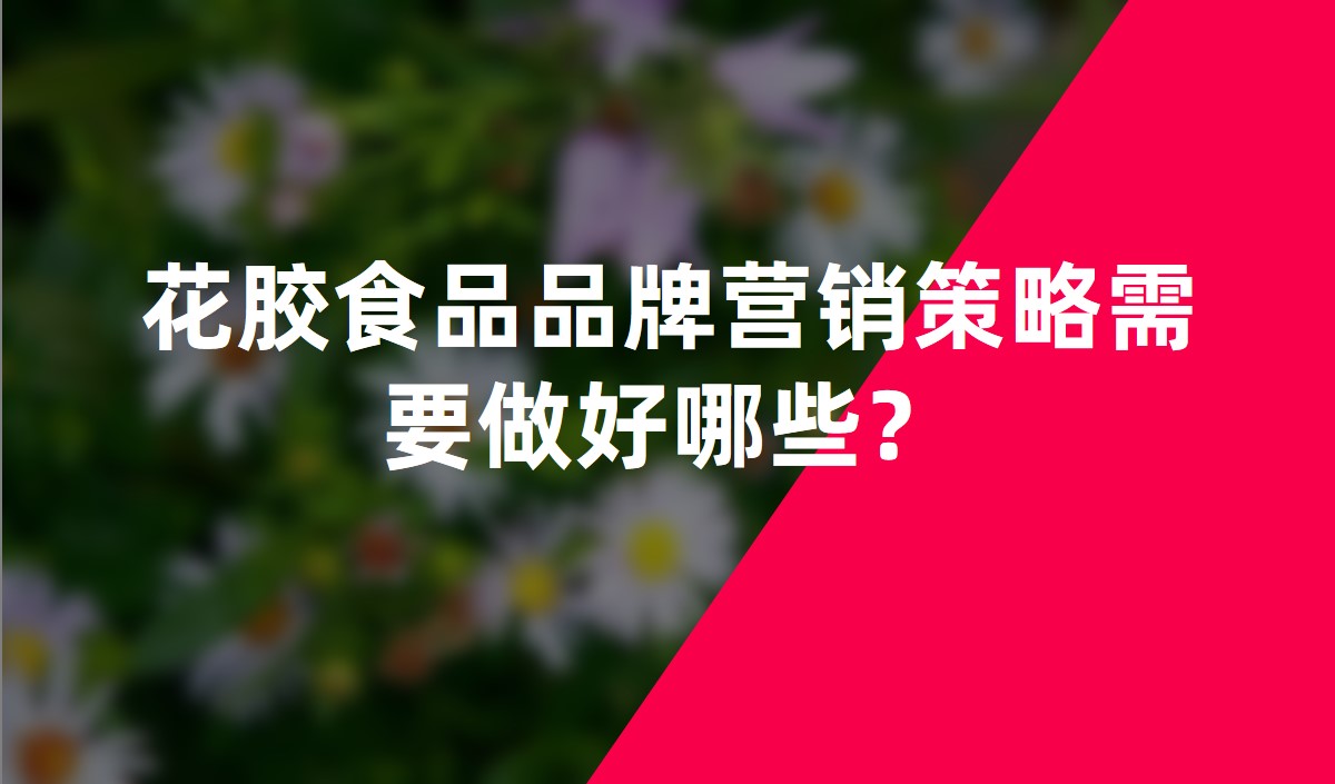 花膠食品品牌營銷策略需要做好哪些？