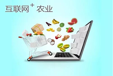 農(nóng)業(yè)品牌定位，互聯(lián)網(wǎng)農(nóng)業(yè)品牌定位