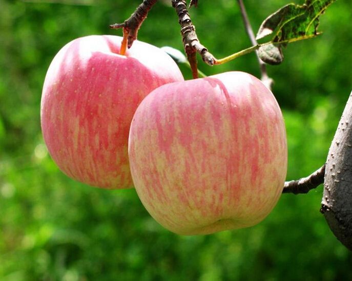 農(nóng)業(yè)品牌營(yíng)銷