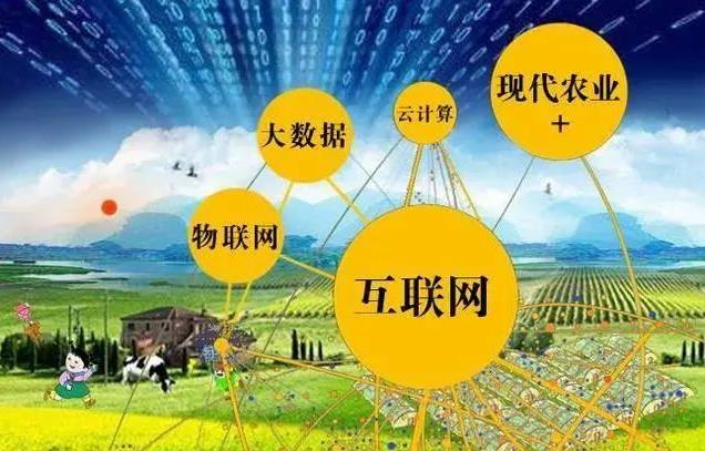 農(nóng)業(yè)商業(yè)模式有哪些_農(nóng)業(yè)商業(yè)模式創(chuàng)新