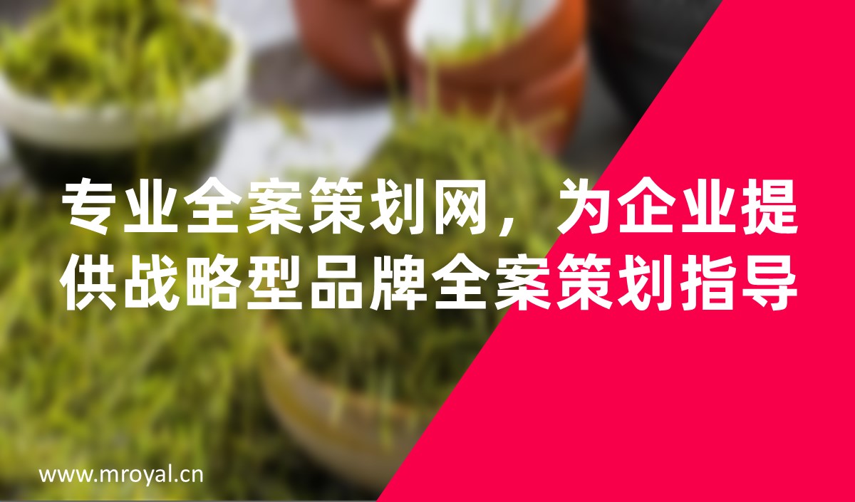 專業(yè)全案策劃網，為企業(yè)提供戰(zhàn)略型品牌全案策劃指導