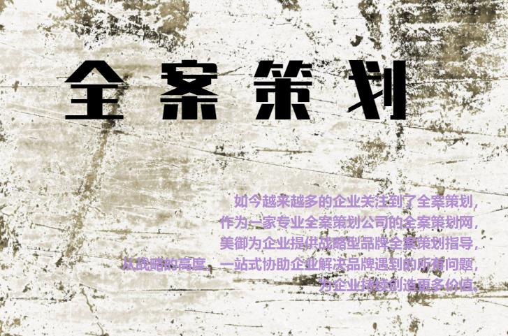 專業(yè)全案策劃網，為企業(yè)提供戰(zhàn)略型品牌全案策劃指導