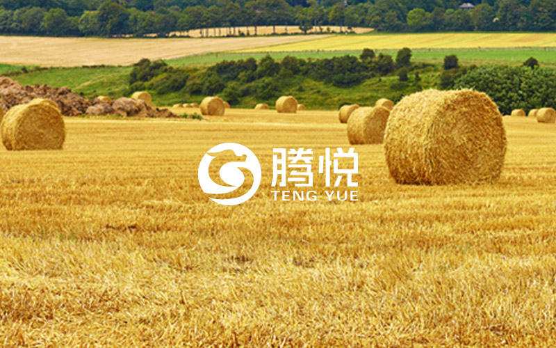 肥料品牌策劃，騰悅肥料