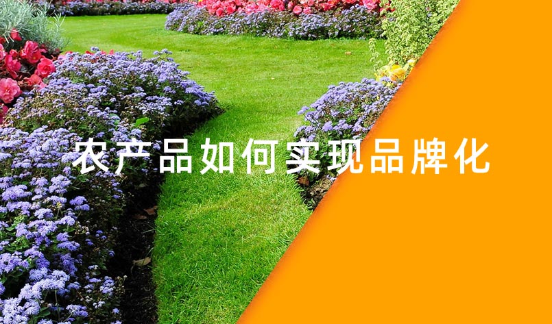 農(nóng)產(chǎn)品如何實現(xiàn)品牌化